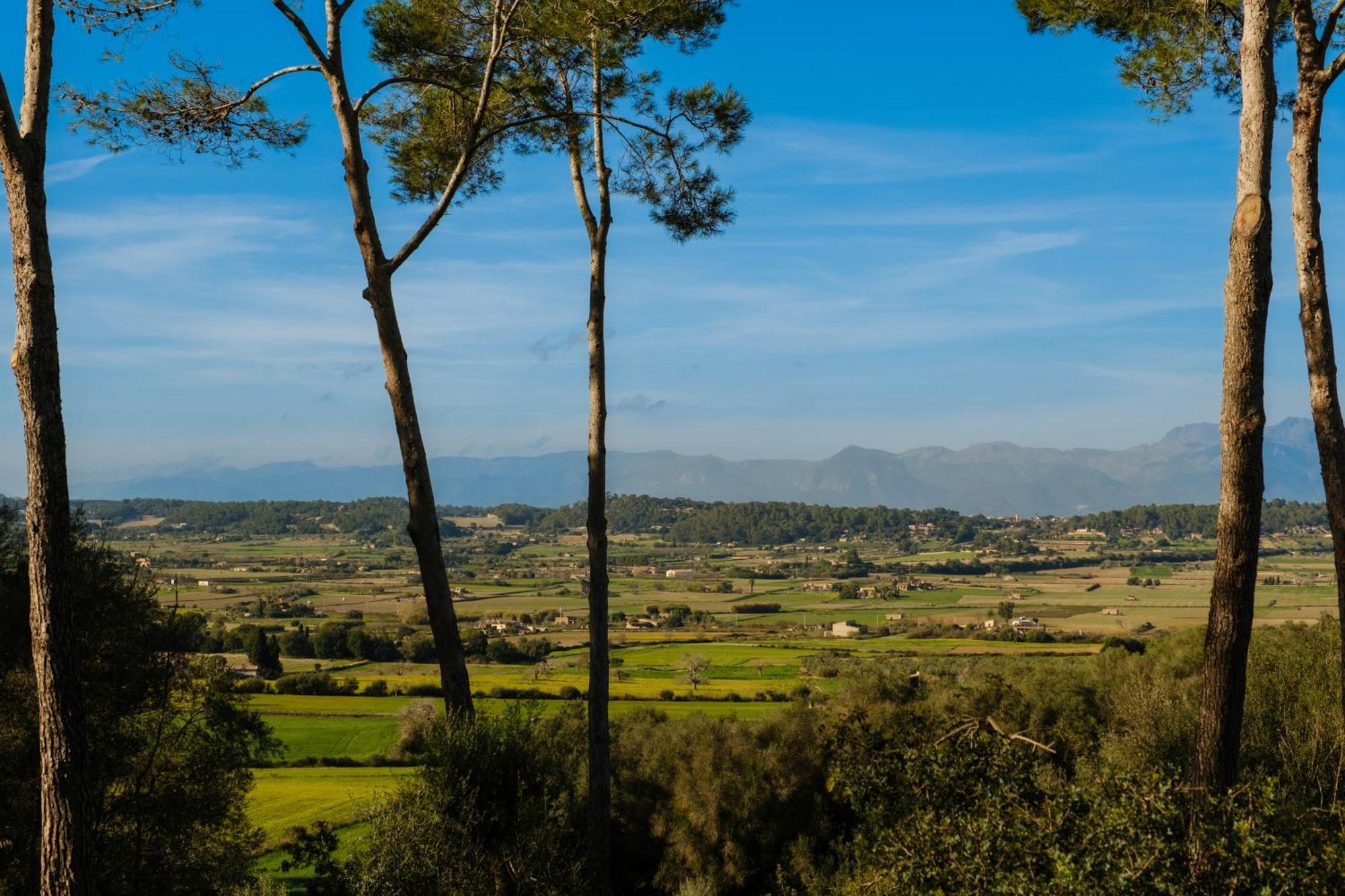 Finca Sa Bastida Luxury Retreat & Spa Adults Only Sant Joan Eksteriør billede